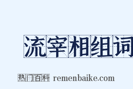 風流宰相组词是什么意思的图片